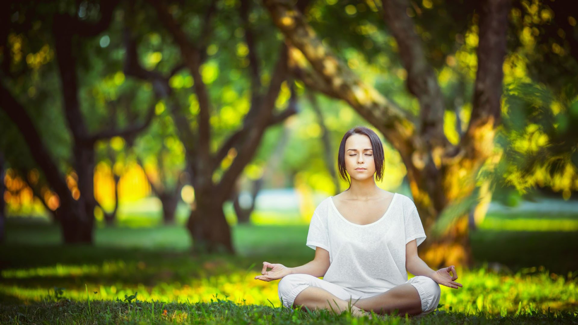 在线体育博彩-国际米兰头槌定音点球绝杀 山东泰山深陷泥潭惨遭三连败，国际米兰点球绝杀，山东泰山惨遭三连败